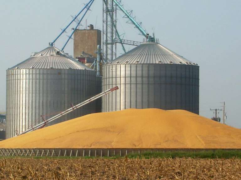 Storing Grains And Regarding Aspects