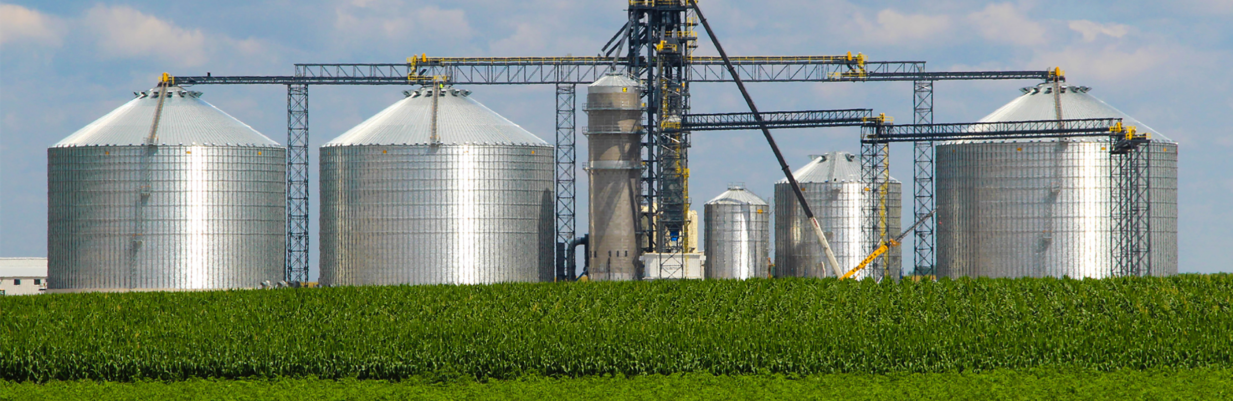 Proper Grain Storage