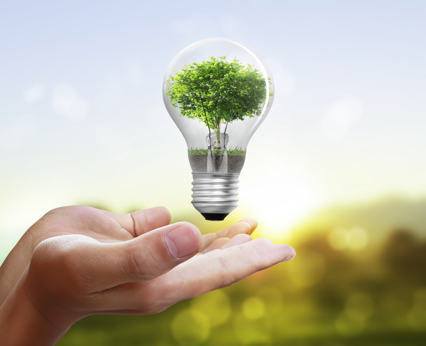 Energy Saving Solutions for Business