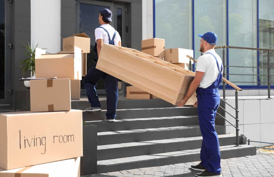 Essential Questions to Ask When Choosing a Removals Company