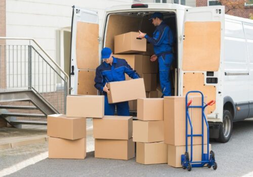 The Roles of Moving Companies in Novi MI