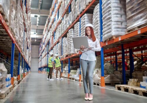 Logistics Warehousing and Warehousing Services: Efficient Solutions for Growing Businesses